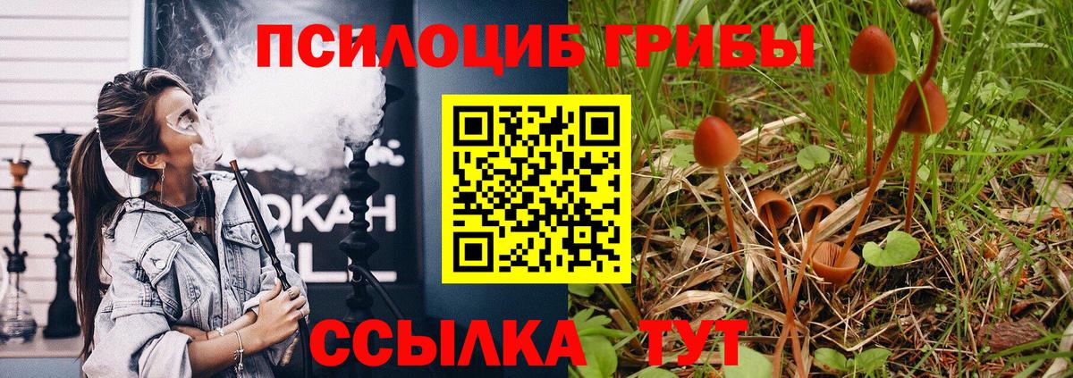 Галлюциногенные грибы Cubensis Кимовск
