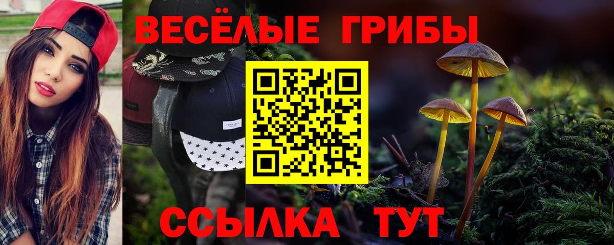 Кимовск  Псилоцибиновые грибы прущие грибы  Вход с VPN 